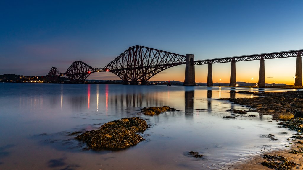 프로필